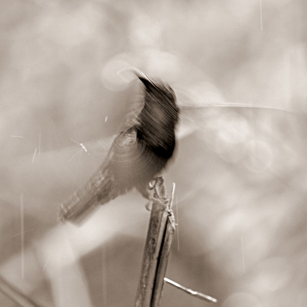 20120130154138_img_41317 20120130154138_img_41317