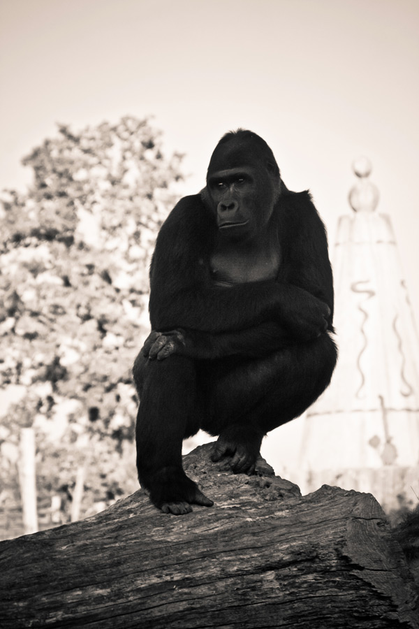 20120130142157_img_6434 20120130142157_img_6434