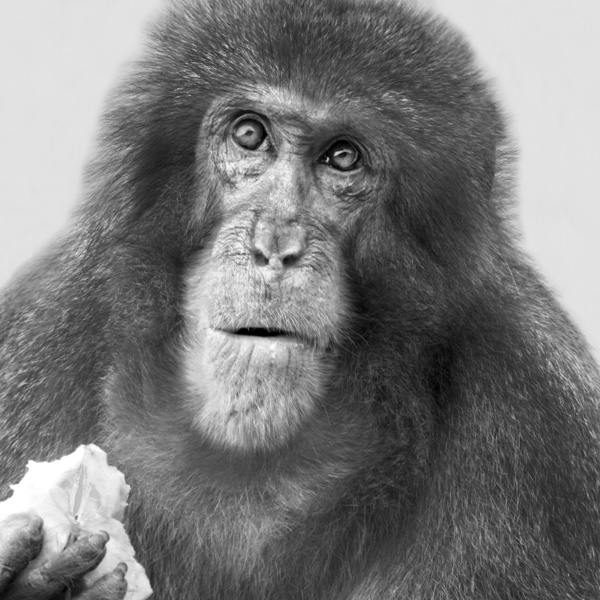 20120130171430_think_different 20120130171430_think_different