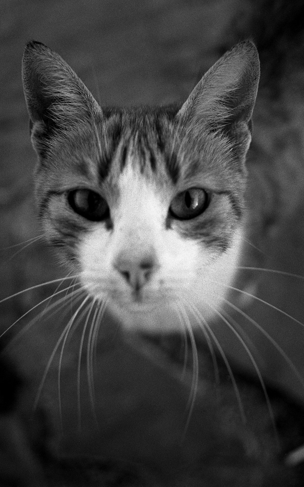 20120130172908_chat767 20120130172908_chat767