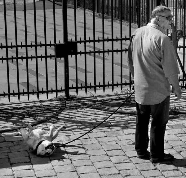 20120130173235_hetm2 20120130173235_hetm2