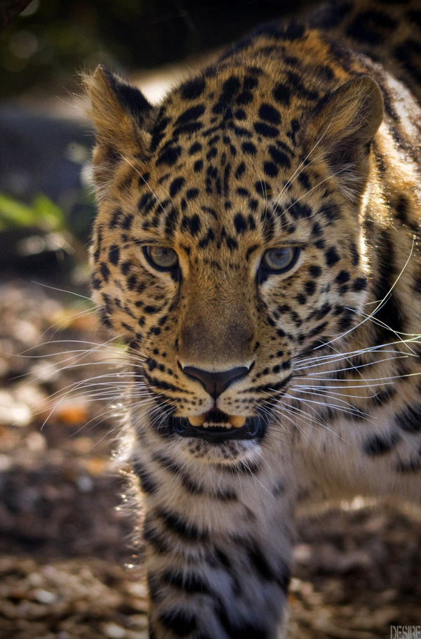 20120130180020_287798_258321090846248_257775600900797_1092790_536927_o 20120130180020_287798_258321090846248_257775600900797_1092790_536927_o