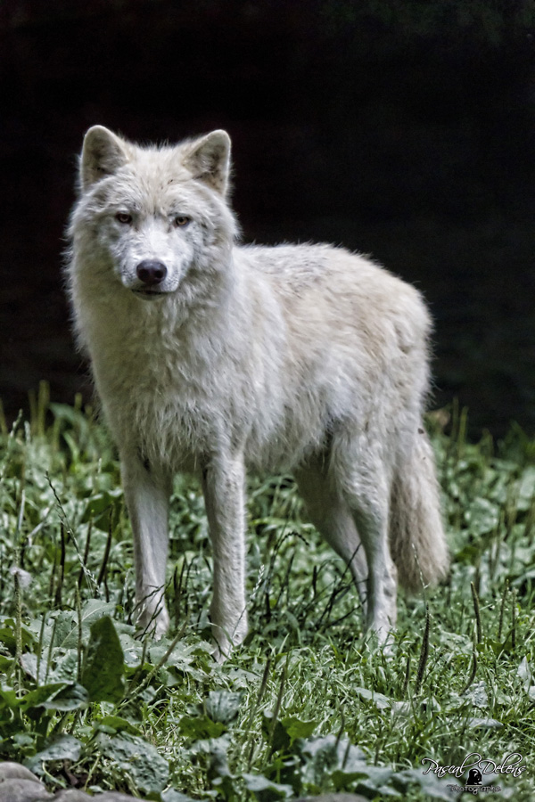 20120130184309_7d_018284 20120130184309_7d_018284