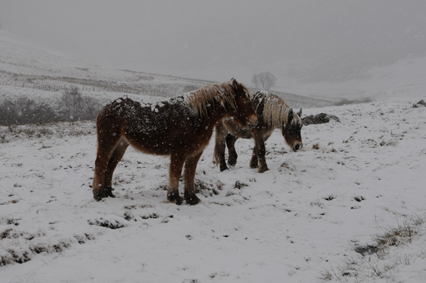 20120130205556_dsc_3473 20120130205556_dsc_3473