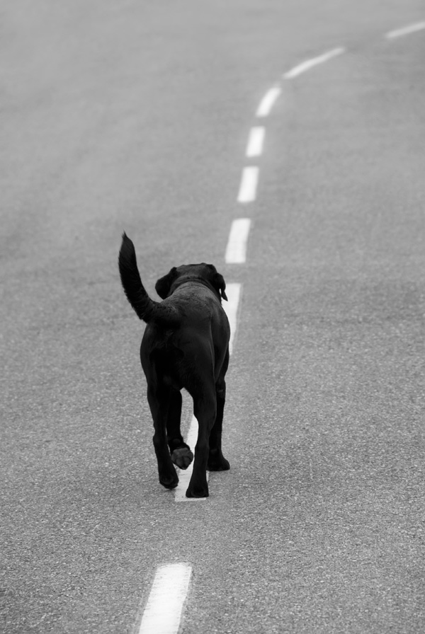 20120130171817__guf6787_modifier 20120130171817__guf6787_modifier