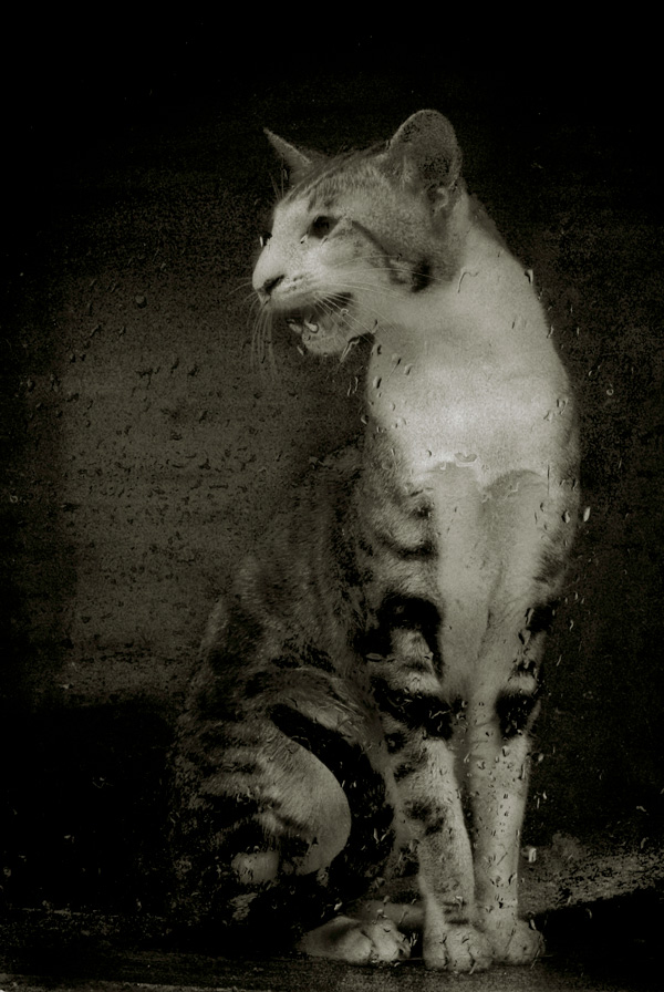 20120130172149_ar8245_modifier 20120130172149_ar8245_modifier