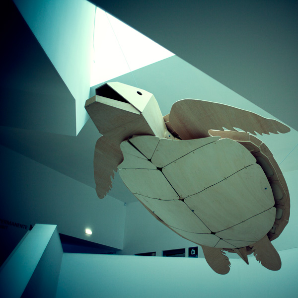 20120130173049_20110602_258 20120130173049_20110602_258