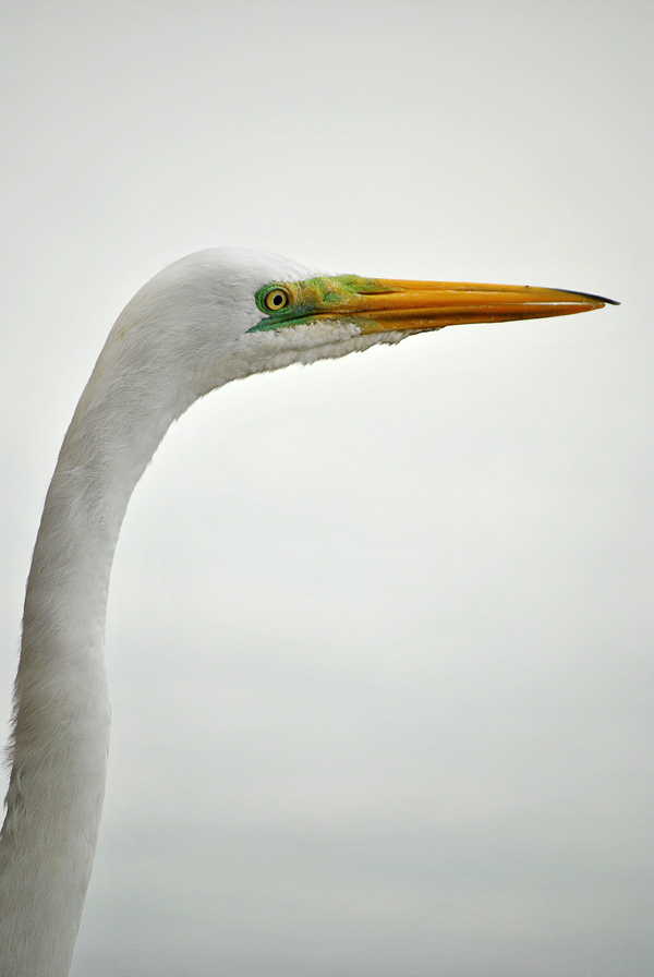 20120130174434_portrait_hk_rio 20120130174434_portrait_hk_rio