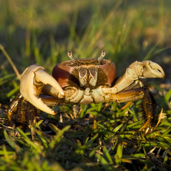 20120130173520_img07994 20120130173520_img07994