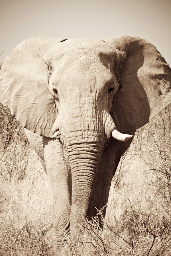 20120130182336_img_0234 20120130182336_img_0234