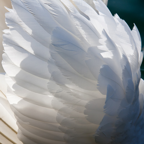 20120130181209_img_0962 20120130181209_img_0962