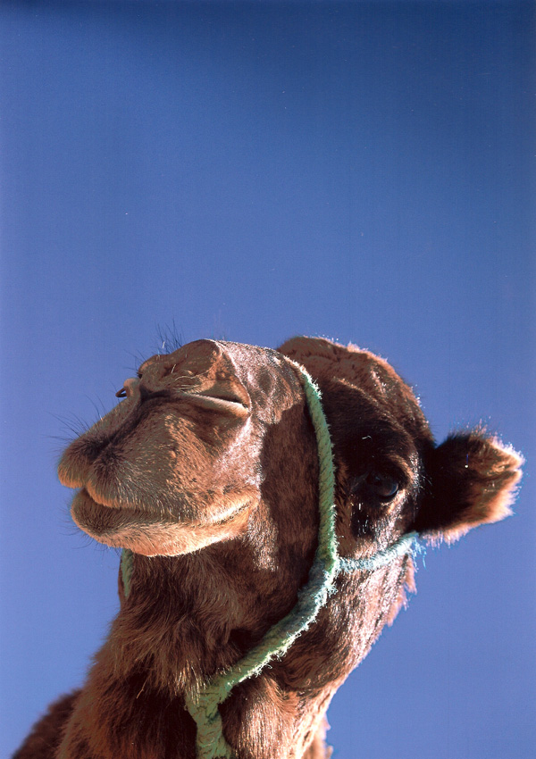 20120130183300_vii_2 20120130183300_vii_2