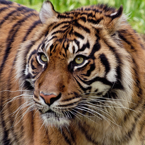 20120130185738__dsc3212dp2 20120130185738__dsc3212dp2