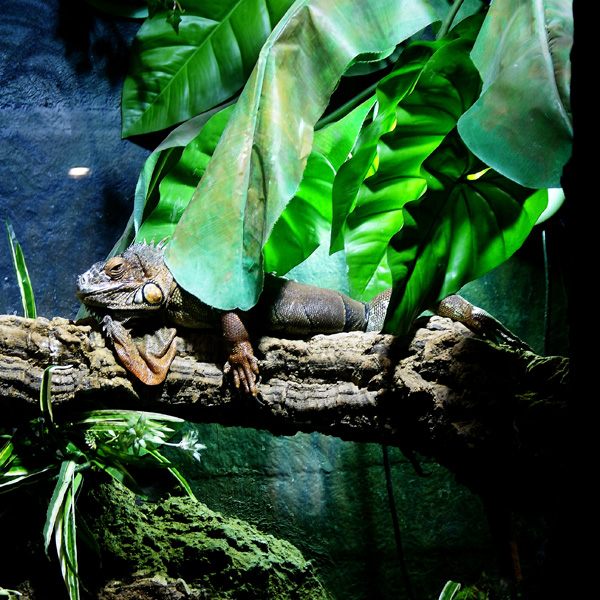 20120130190711_cambarca0002 20120130190711_cambarca0002