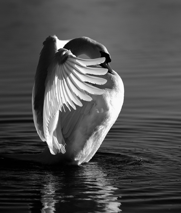 20120130201026_dsc_945666 20120130201026_dsc_945666