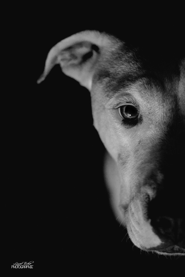 20120130201041_img_1369_copie 20120130201041_img_1369_copie