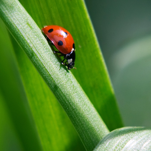 20120130210751_crw_7324r_carre 20120130210751_crw_7324r_carre