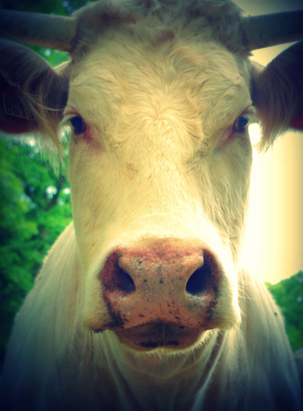 20120130230359_divers_023_001 20120130230359_divers_023_001