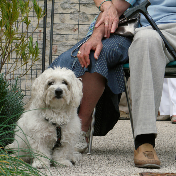 20120130232009_animal_acte_1_ 20120130232009_animal_acte_1_