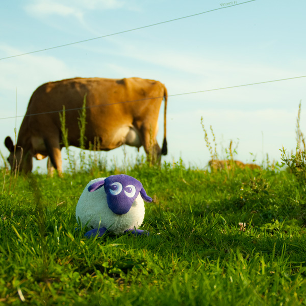 20120130184347_meehlange_des_genres 20120130184347_meehlange_des_genres