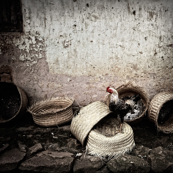 20120130195746_1_mg_9759 20120130195746_1_mg_9759