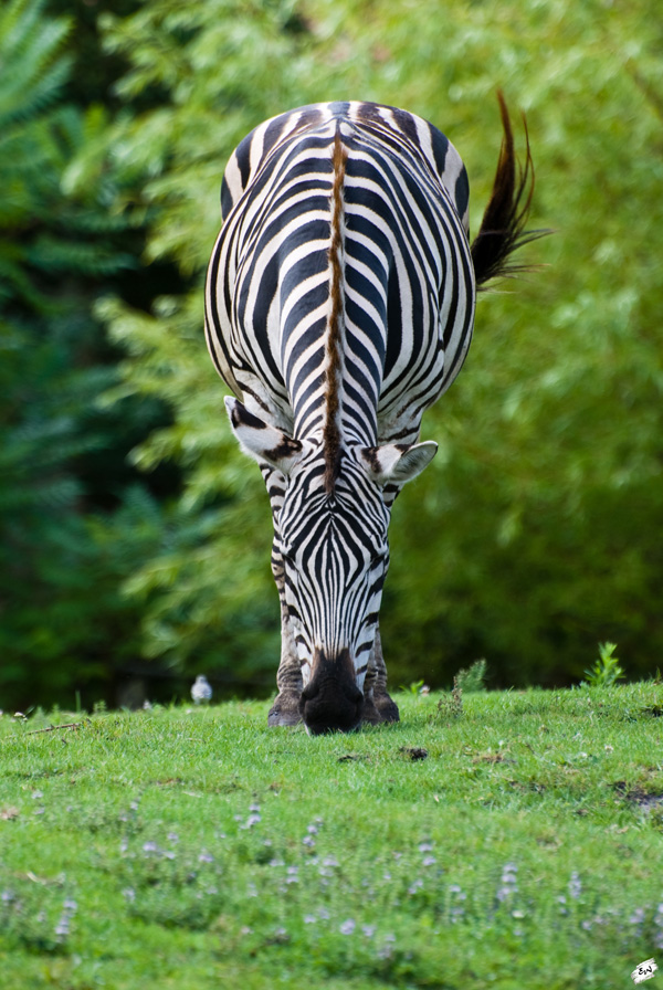 20120130200056_symetrie 20120130200056_symetrie