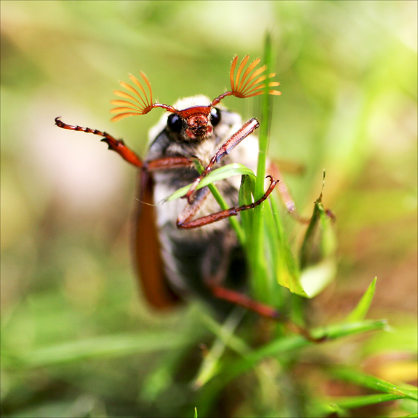 20120130221417_img_8589_2 20120130221417_img_8589_2