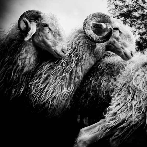 20120130211119_comp_lfe_0864_2wb 20120130211119_comp_lfe_0864_2wb