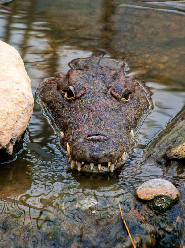 20120131102702_2011_10312011mai0045 20120131102702_2011_10312011mai0045