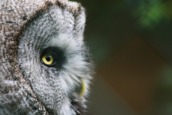 20120131122824_img_0371 20120131122824_img_0371