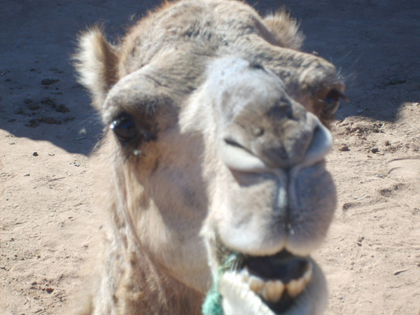 20120131180028__dsc2669_3 20120131180028__dsc2669_3