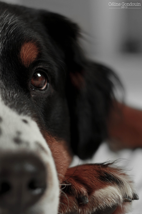 20120131193308_competence_photo 20120131193308_competence_photo