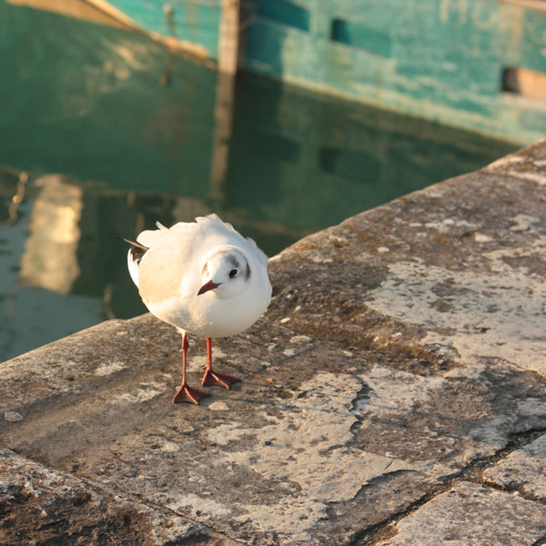 20120131195255_img_2538 20120131195255_img_2538