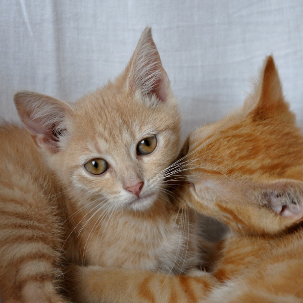 20120201115727_dsc_0162r_c3 20120201115727_dsc_0162r_c3