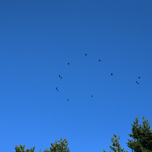 20120201172520_110202_007_ 20120201172520_110202_007_