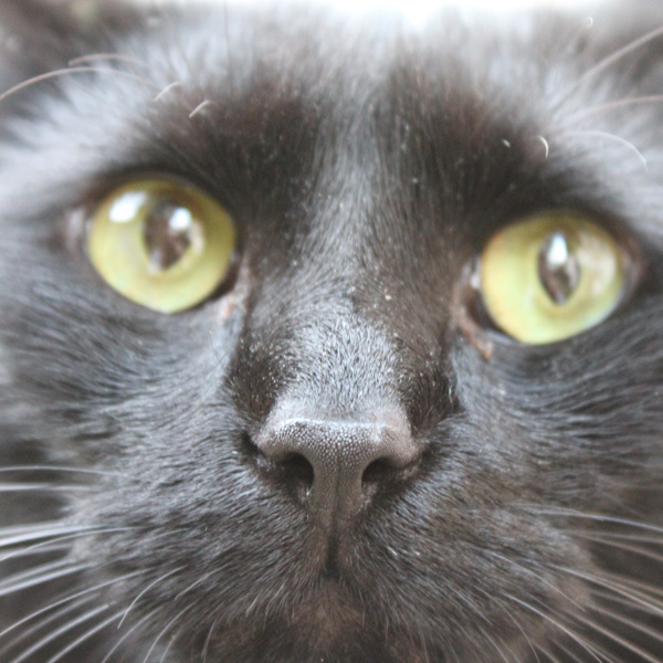 20120201173601_img_0040 20120201173601_img_0040