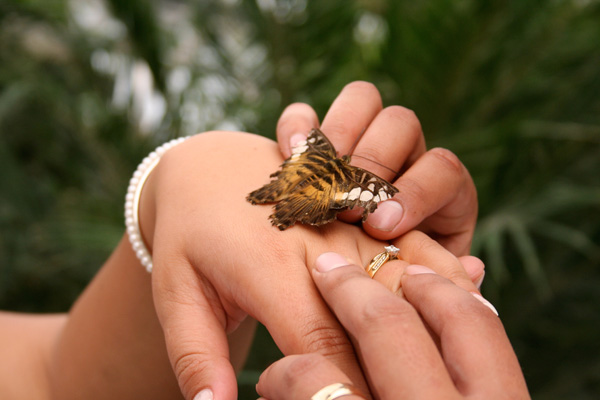 20120202002518_donna_mark_279 20120202002518_donna_mark_279