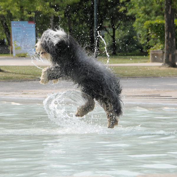 20120202012412__nik6541_copie2 20120202012412__nik6541_copie2