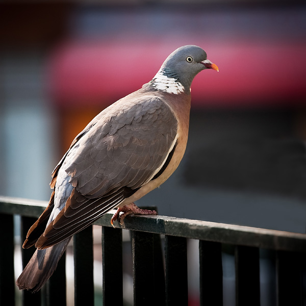 20120131105915_20100508_mg_6029 20120131105915_20100508_mg_6029
