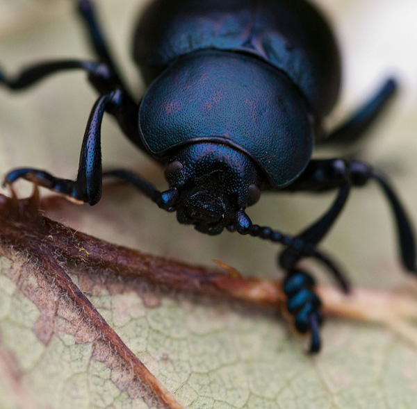 20120131110255_4179modif 20120131110255_4179modif