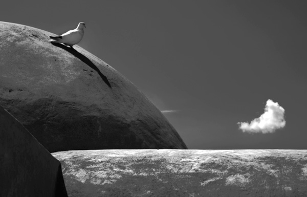20120131181906_le_pigeon_au_nuage 20120131181906_le_pigeon_au_nuage