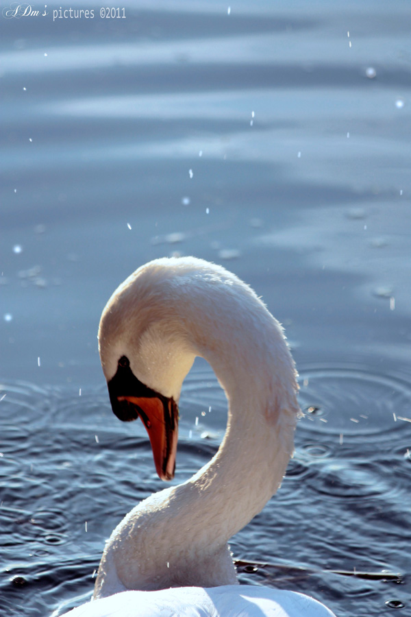 20120201151210_efef 20120201151210_efef