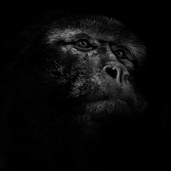 20120201114931_100_4078 20120201114931_100_4078