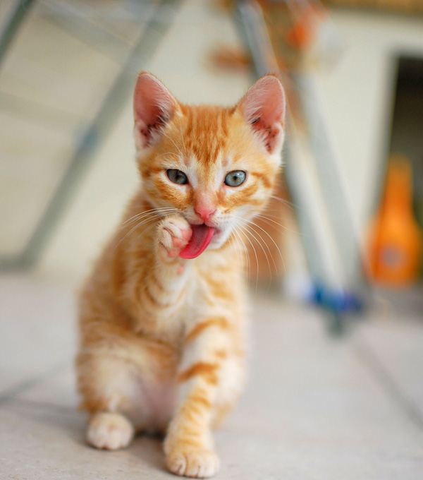 20120201131235_dsc_0824 20120201131235_dsc_0824