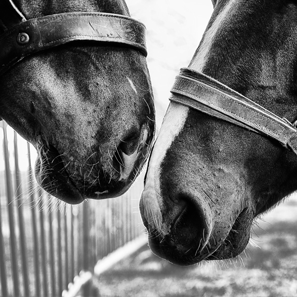 20120201143102_dsc_0287_modifier_copie 20120201143102_dsc_0287_modifier_copie