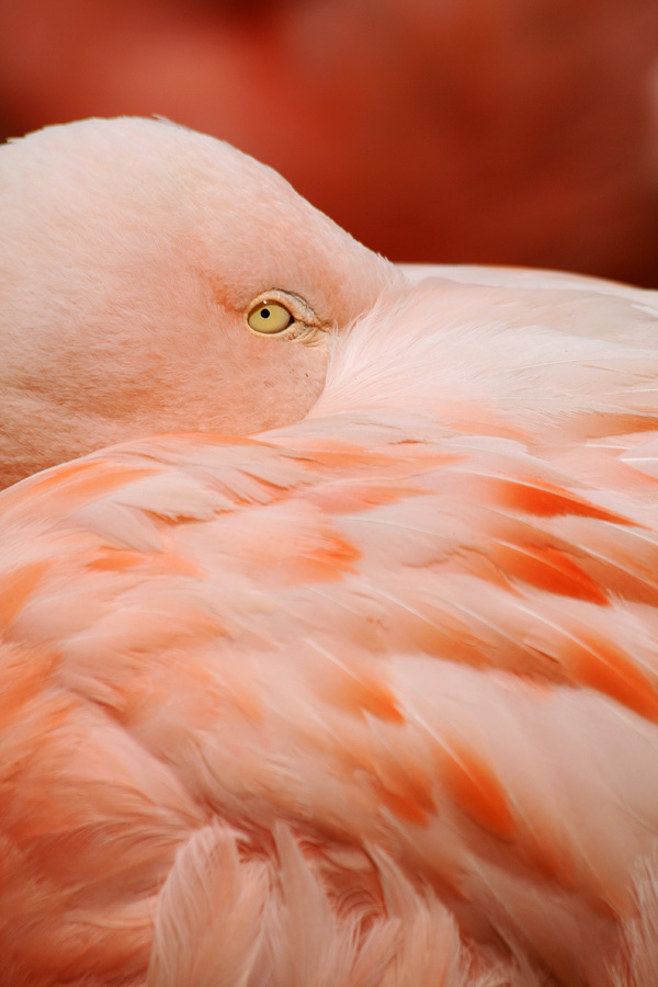 20120201194031_img_9621_1 20120201194031_img_9621_1