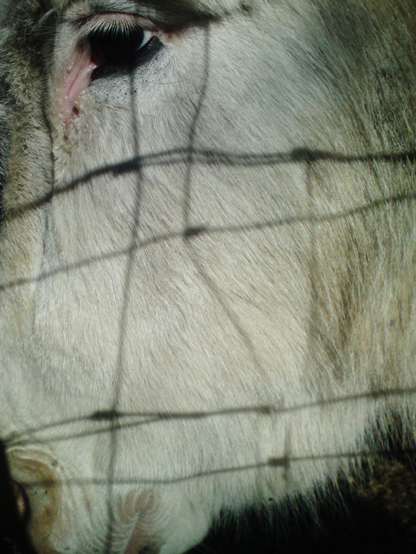 20120202101740_dsc03858 20120202101740_dsc03858