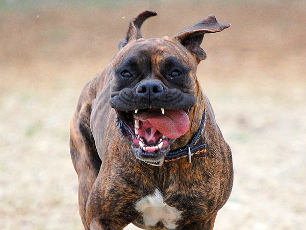 20120202130431_heureuse 20120202130431_heureuse