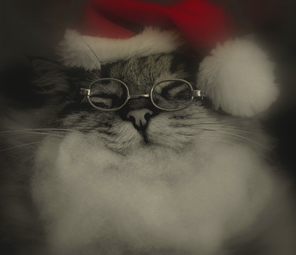 20120202164119_dsc_0054bis1 20120202164119_dsc_0054bis1