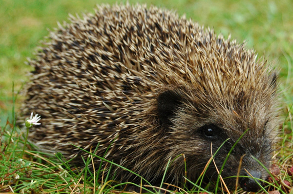 20120202174948_dsc_2680 20120202174948_dsc_2680